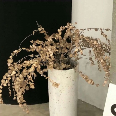 Furry插画构图灵感Furry群